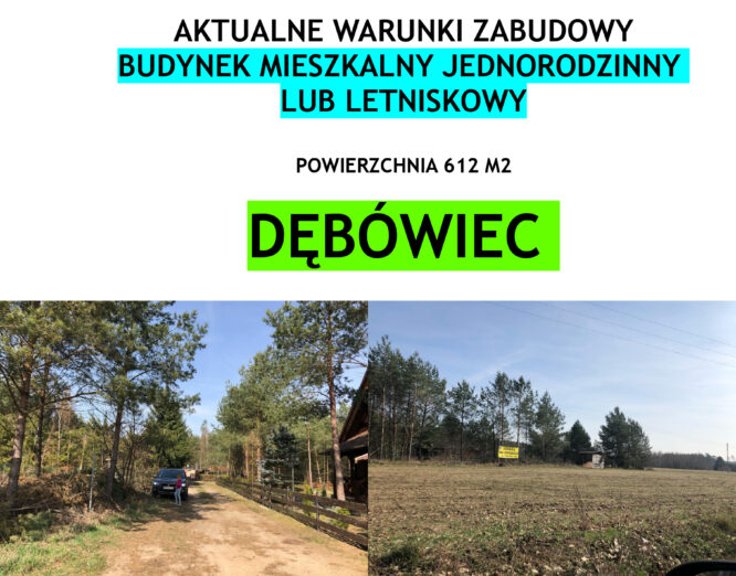 debowiec-kopia2
